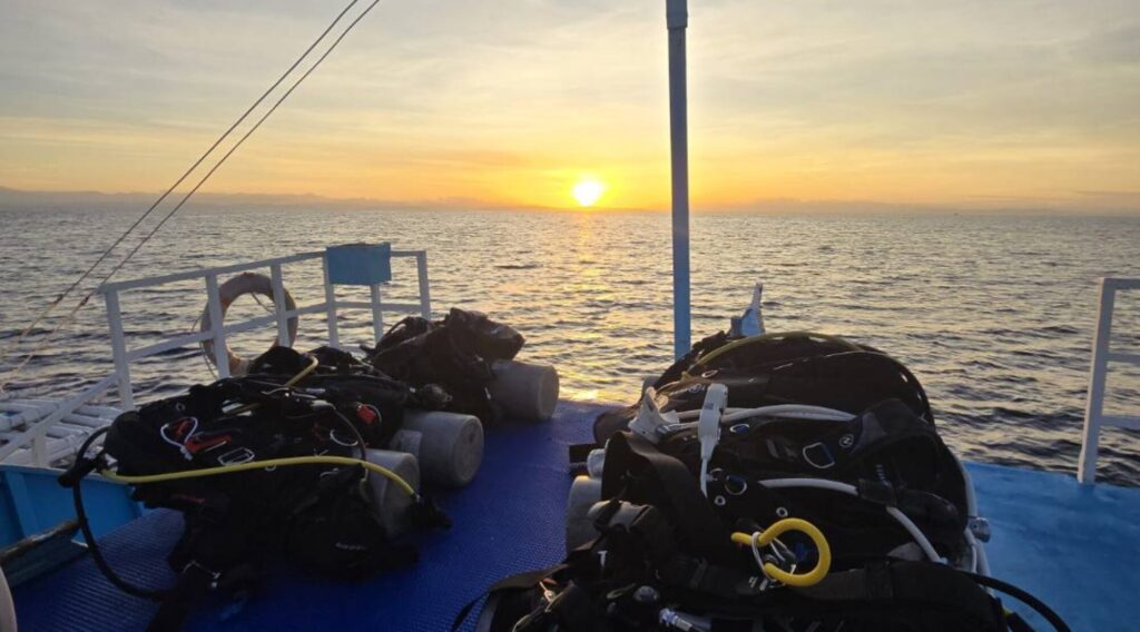 sunset dive